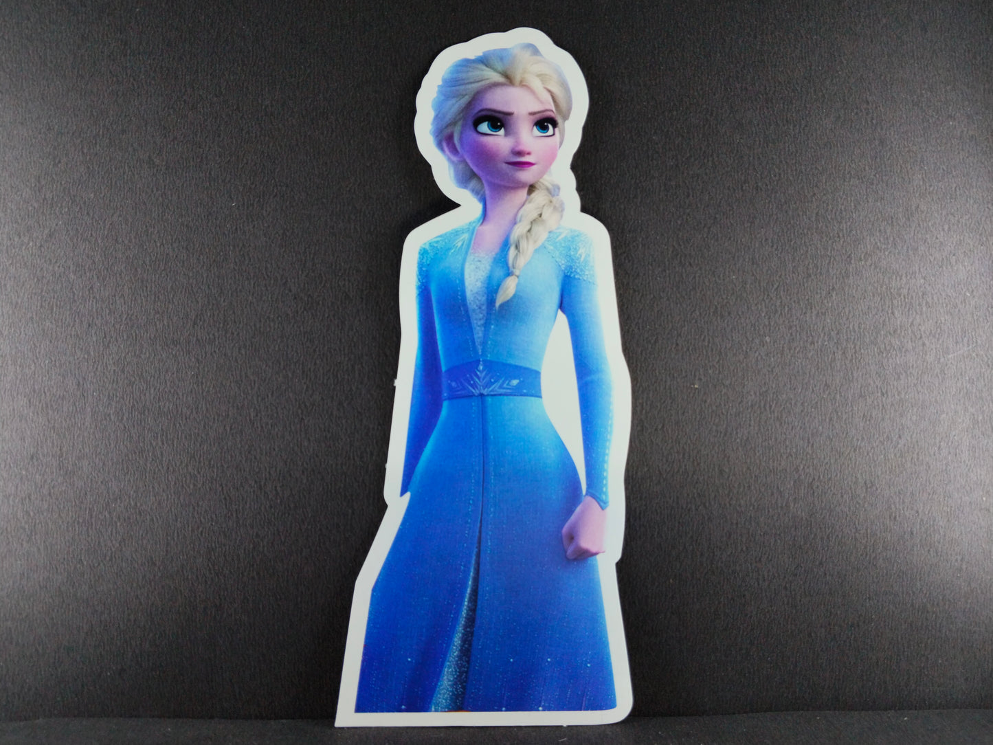 Birthday Decoration Kit - Frozen Theme for Simple Birthday Decorations at Home