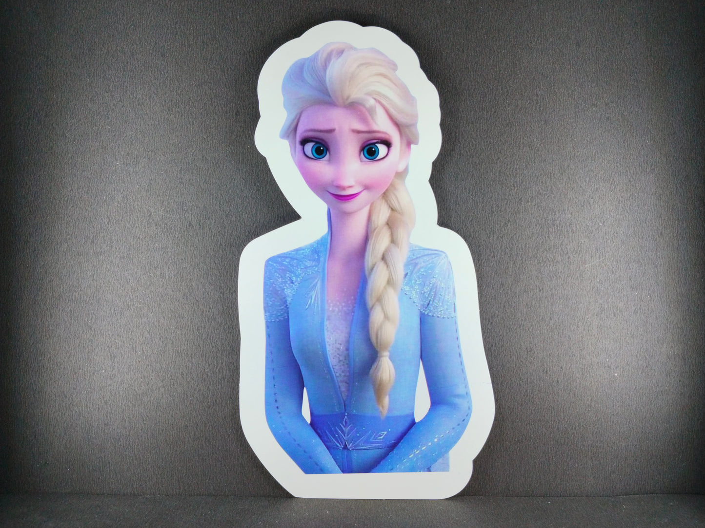 Birthday Decoration Kit - Frozen Theme for Simple Birthday Decorations at Home