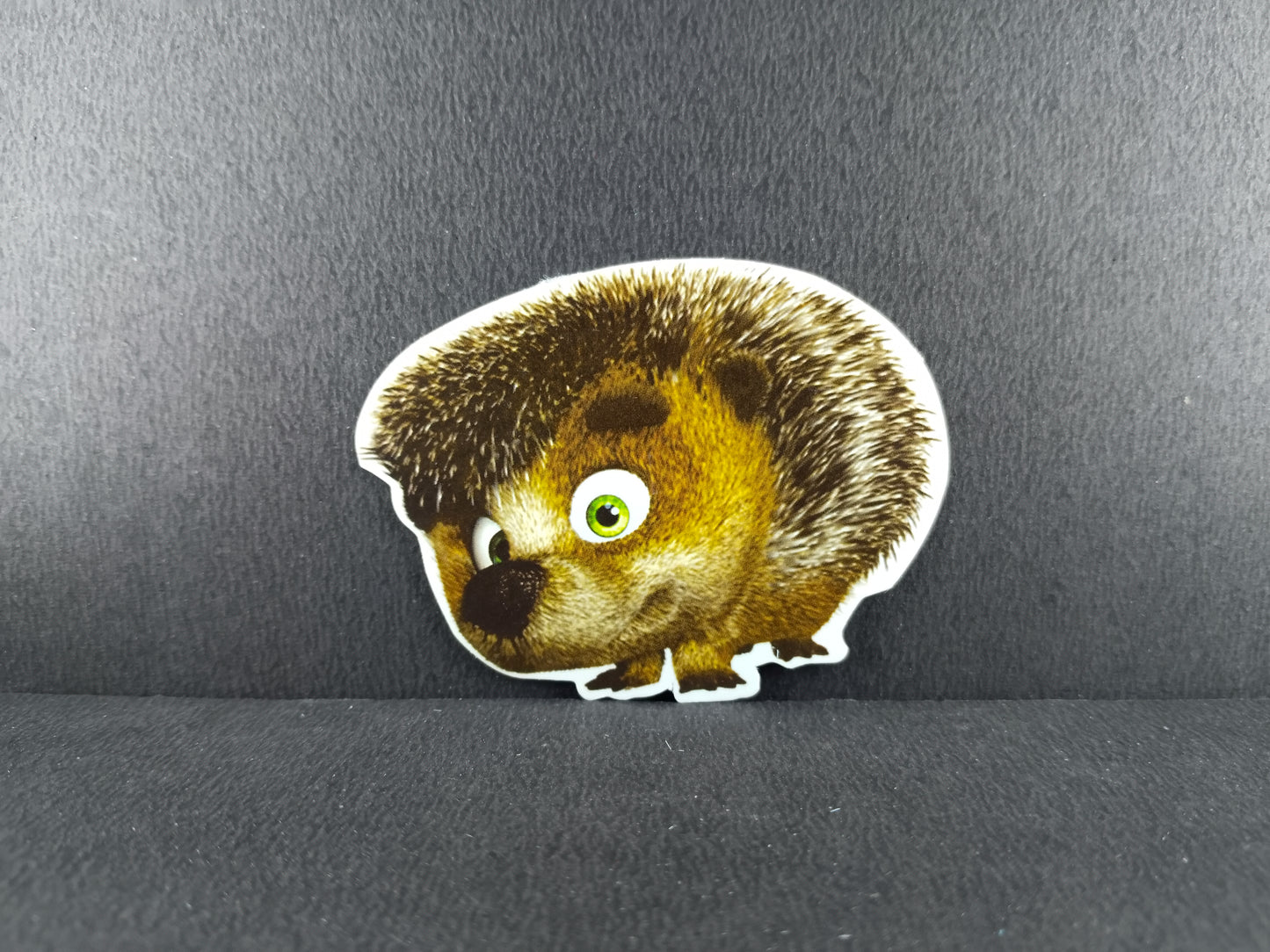 Birthday Decoration Kit - Masha and Bear Theme for Simple Birthday Decorations at Home