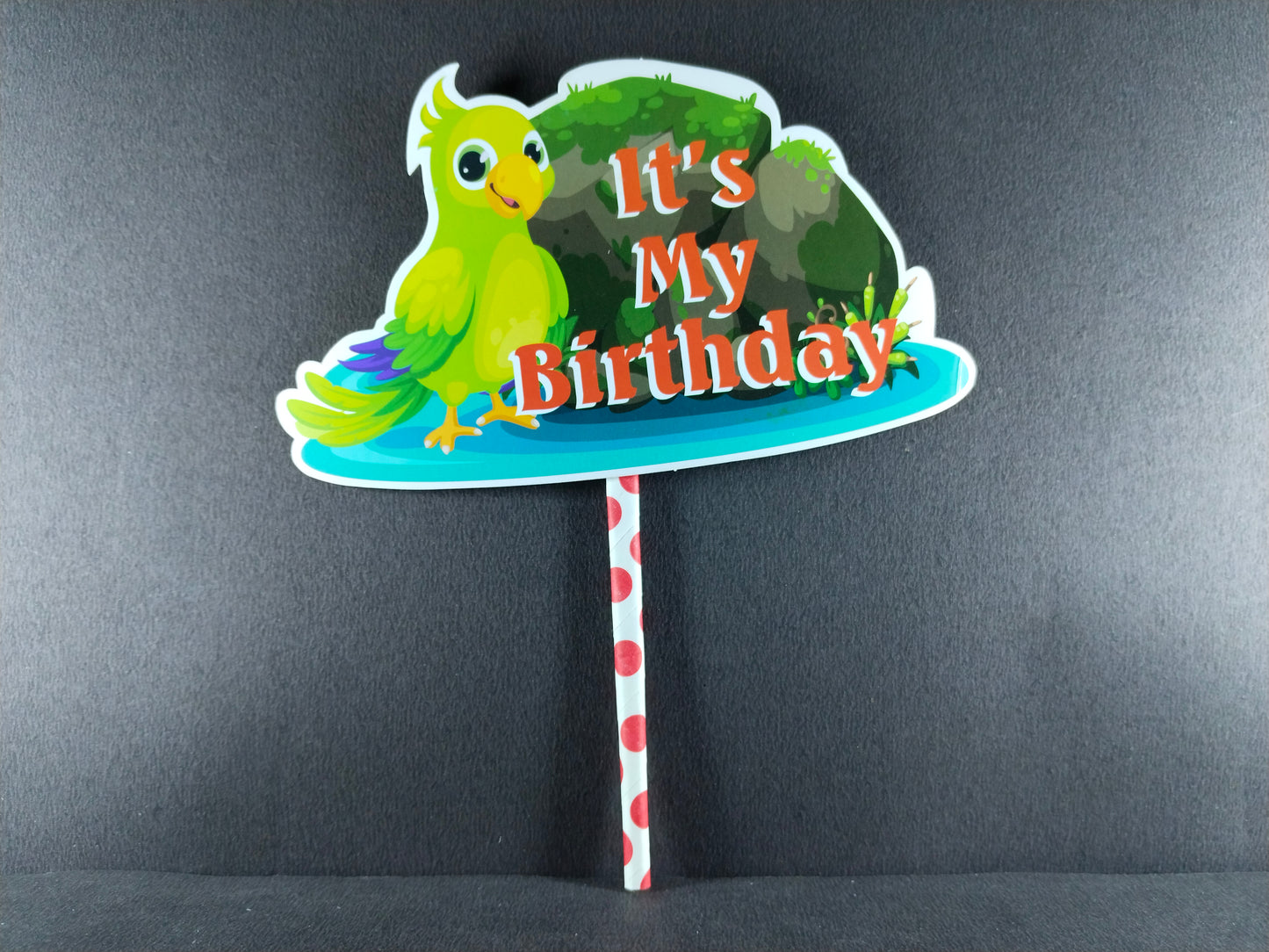 Birthday Decoration Kit - Jungle Theme Animal Theme for Simple Birthday Decorations at Home