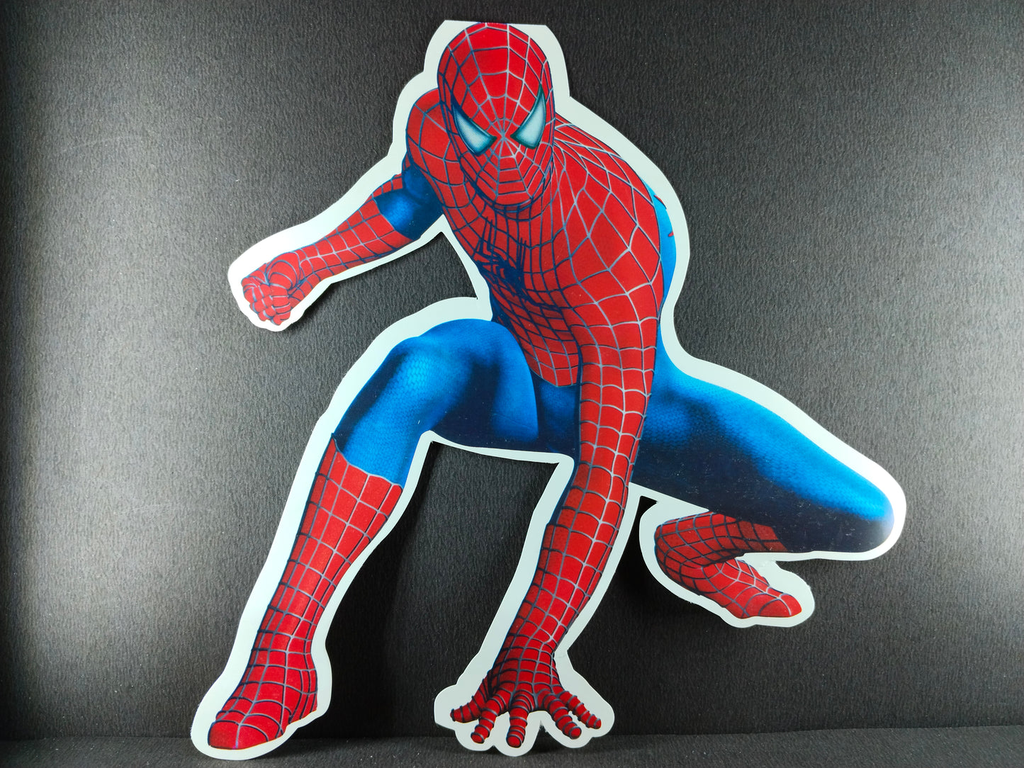 Birthday Decoration Kit - Spiderman Theme for Simple Birthday Decorations at Home